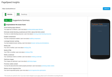 PageSpeed Insights
